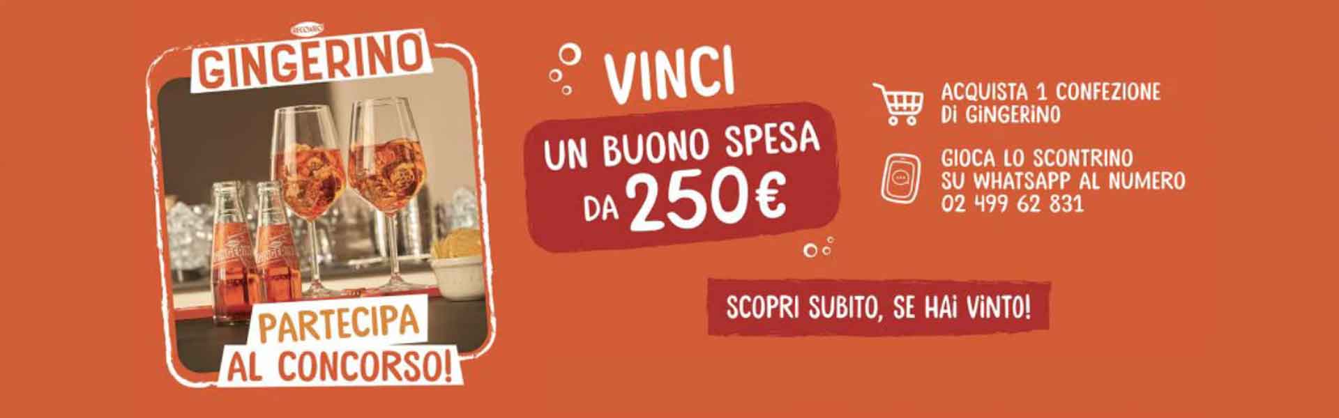 Vinci la spesa con Gingerino 2026: partecipa subito via WhatsApp!