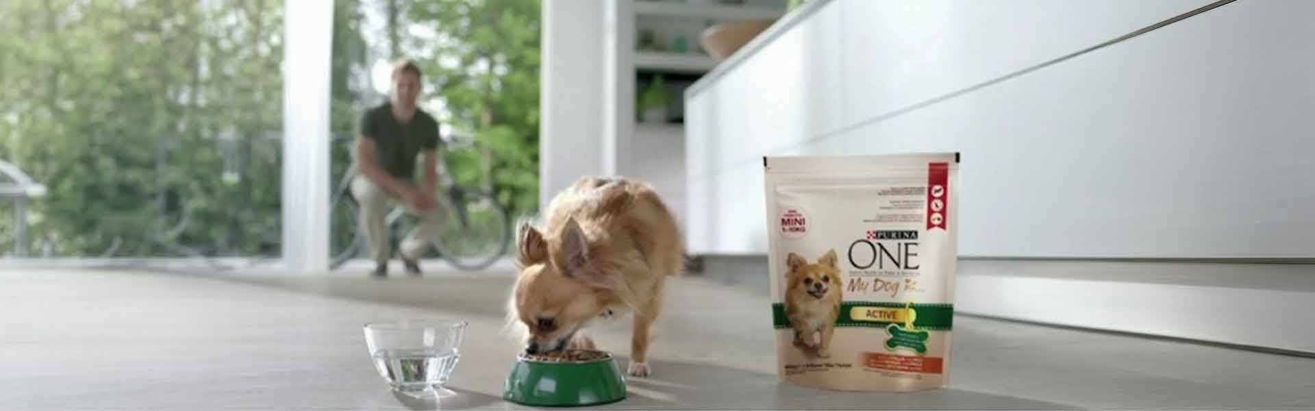 Purina ONE® ti regala 3 settimane di pappa gratis per il tuo amico a 4 zampe! Scopri come!